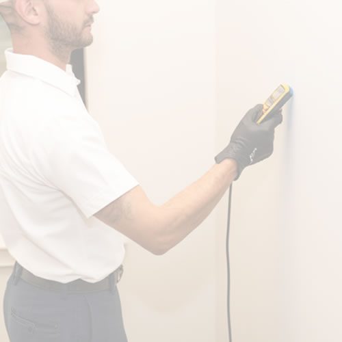 Water damage restoration expert using moisture meter to assess wall in Golden Glades, FL, highlighting emergency response services.