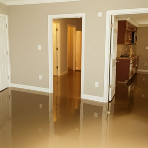 Flood recovery in palm beach county