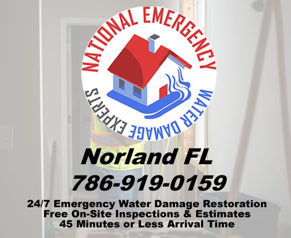 Norland Emergency Water Damage Restoration Services