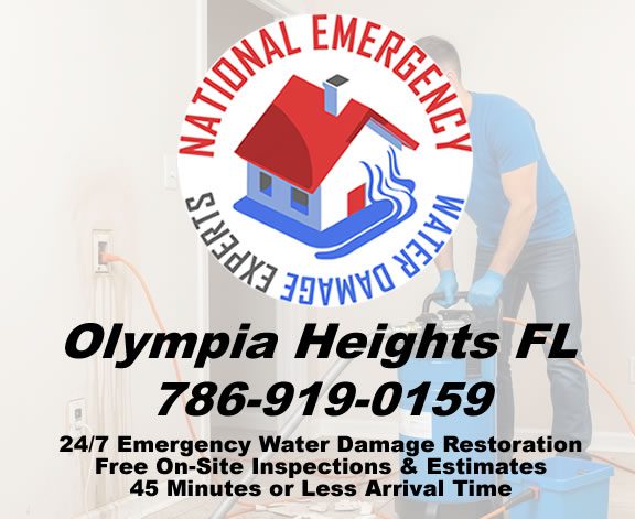 Olympia Heights Emergency Water Damage Restoration Services