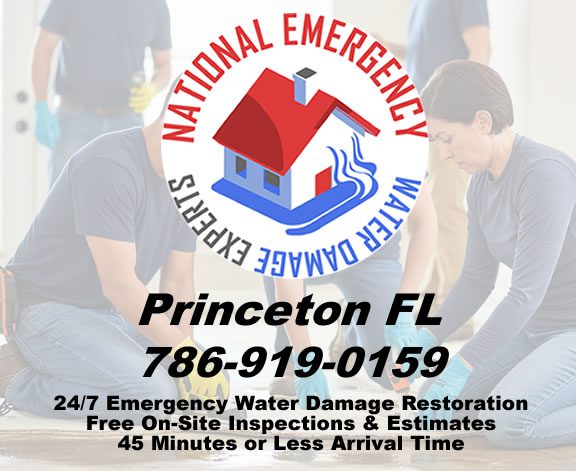 Princeton Emergency Water Damage Restoration Services