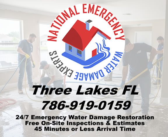 Three Lakes Emergency Water Damage Restoration Services
