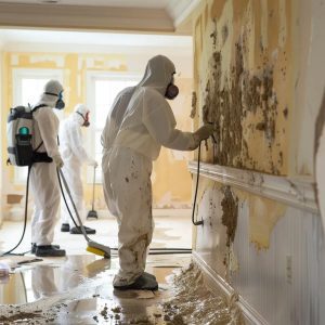 Professional mold remediation team assessing water damage in a home